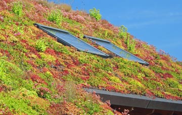 Lockeridge Dene living roof systems