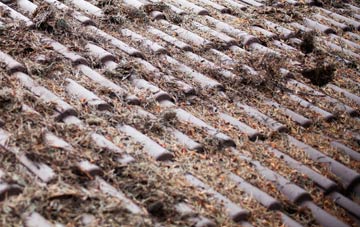 Lockeridge Dene roof cleaning companies