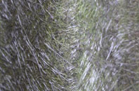 Lockeridge Dene fibreglass roof work